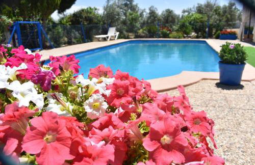 Alojamientos Rurales la Loma - Foto 2