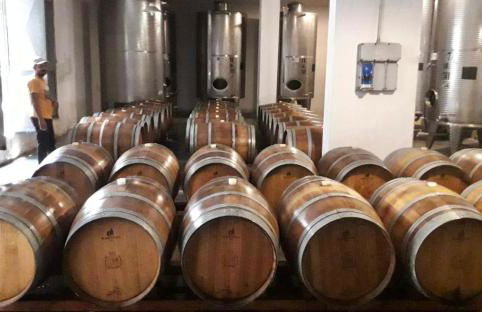 Casa Vacanza "Corso Olmo" - Foto 39