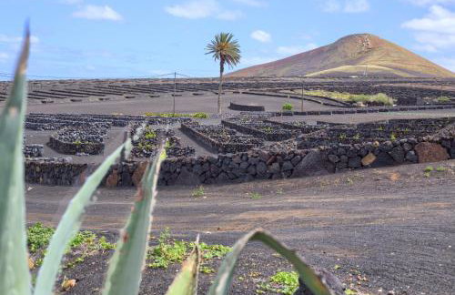 Tea-Rose Loft - Foto 16