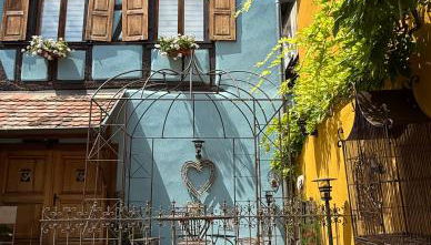 Gîte Aux P'tits Cœurs d'Alsace - Foto 3