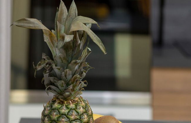 Warsaw Apartment Szajnowicza by Renters - Photo 39