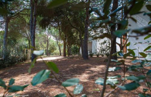 Hotiday Apartments Case Bianche - Foto 48