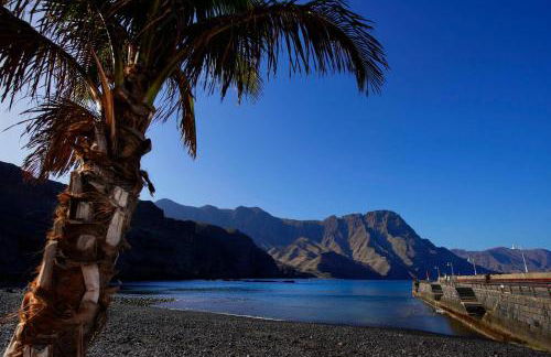 Elisabeth Vacacional La Palmita - Foto 49