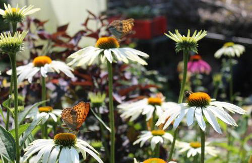 Maison Mille Fleurs - Foto 37