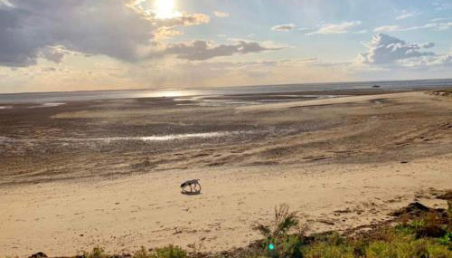 A unique, off-grid Eco Friendly Beach House. - Foto 2, Garden