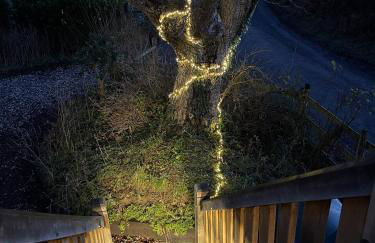 Upper Gelli Luxury Holiday Lodge, Converted Dairy & Cosy Shepherds Huts - Photo 36