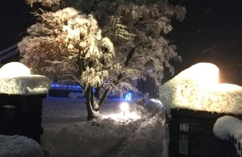 I tulipani - Foto 47