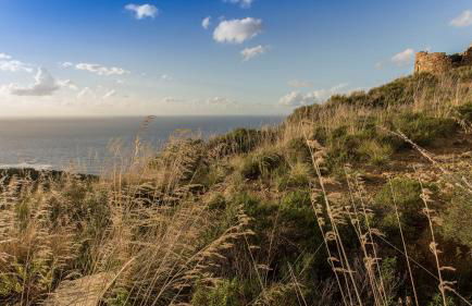 Baia Marticana Residence Hotel - Foto 44