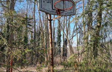 Boszkowski Azyl - Foto 18