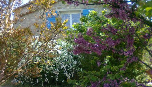 La Nichoule - Photo 5, Garden view
