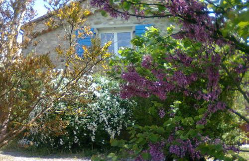 La Nichoule - Foto 5