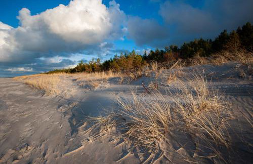 Sea the Blue Garden SPA Odargowo - Foto 67