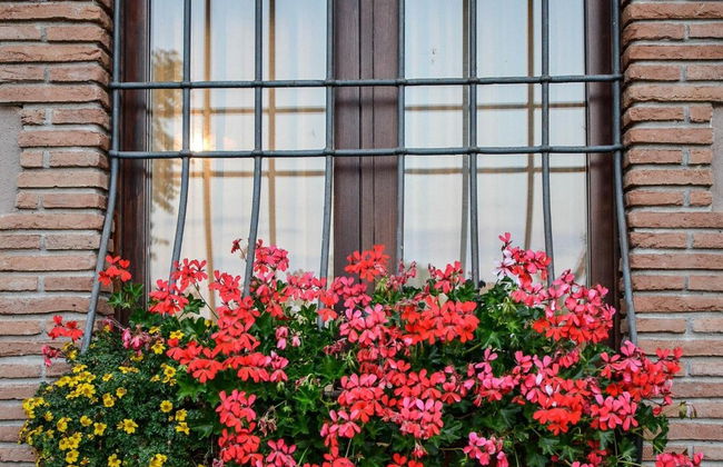 HURZ - Giardino Sannita - Foto 51