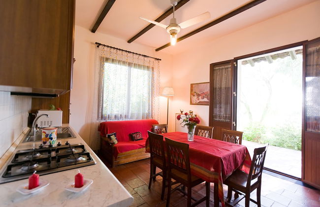 Orange Park - Photo 16