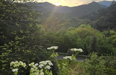 Perched Nest in Cevennes Mountains, relaxing place - Photo 33