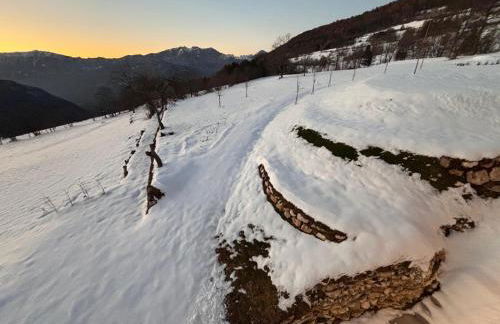 Maso K - Il Gufo Dorato - Foto 46