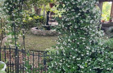 Cajun-Get Away - Foto 35