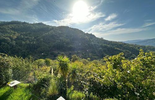 Casa Loureiro - Vista Rio Douro - Foto 36