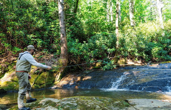 Tuxedo Falls - Foto 5