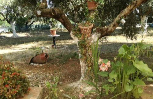 Sunny holiday home - Foto 27