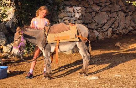 Villa Suzi - Family Farm Stay with Donkeys, Pool and Sea View near Rijeka - Photo 17