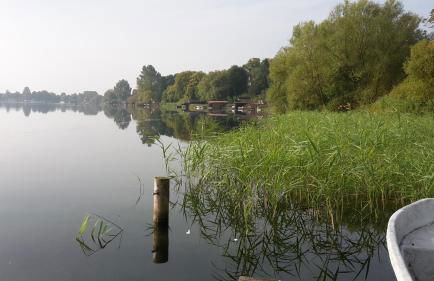 Schaalseeblick - Foto 12