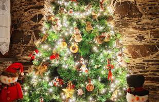 Talasnal Casa do Cascão - Foto 9