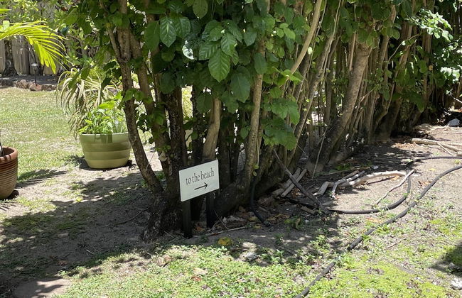 Hale Haena 3 Bedroom Home by RedAwning - Foto 20