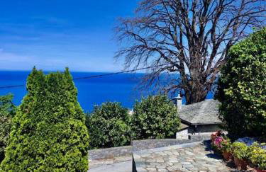 Sea & Mountain Pelion - Foto 24