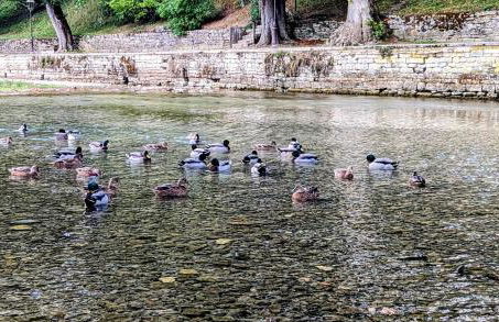 La Tuilerie - Foto 5