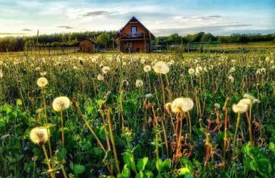 Zakątek na Mazurach I Kalinowo, Romoty - Foto 33