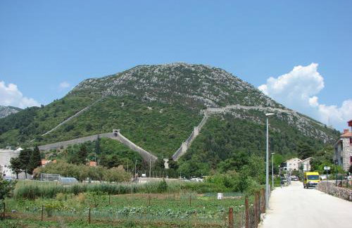 Iva Lavanda - Photo 26