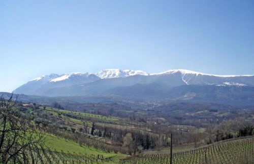 La Capanna - Foto 22