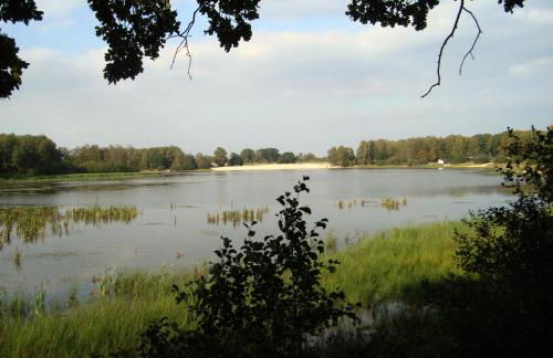 Ferienwohnung Rita - Foto 37