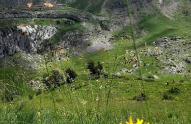 Casa Fraile aisa - Photo 49