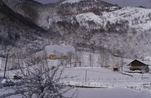 Lou cridadé - Foto 10