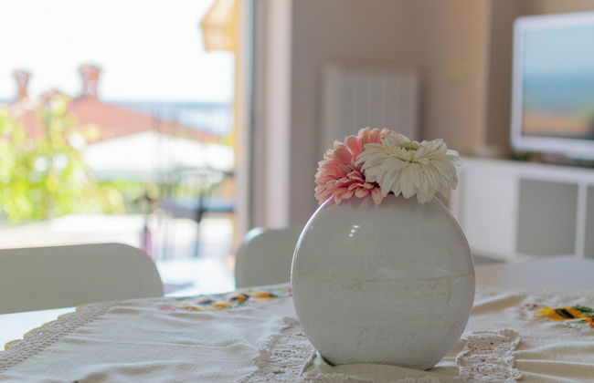 Apartments Apartim Piran - Foto 34