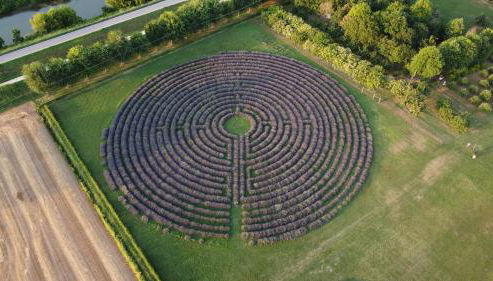 La Tenuta Va Oltre - Foto 3, Garden, Garden view