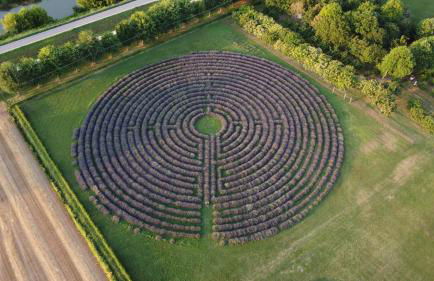 La Tenuta Va Oltre - Foto 3