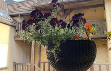 Au nom de la rose, beau 3 pièces en centre-ville - Foto 63