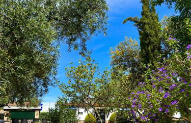 Complejo Rural Mirador de la Alcaidía - Foto 31