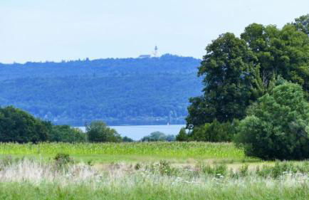 Ferienwohnung Landliebe - Foto 11