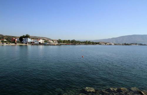 Hotel Stella - Photo 30