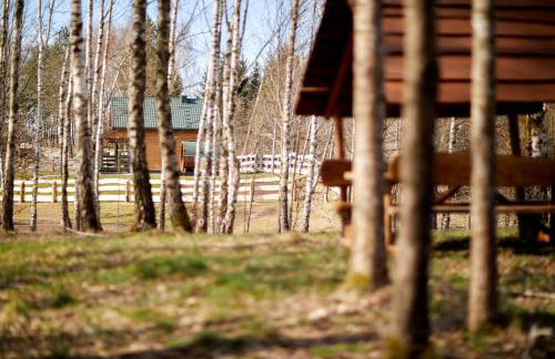 Apartamenty Białe Brzozy - Photo 44