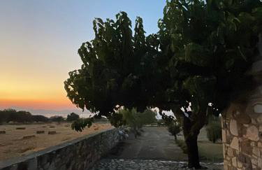 The Stone Cottage Kos - Foto 15