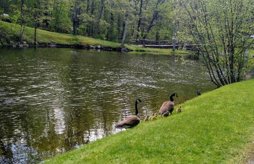 Luxury Cottage at Millpond Falls - Foto 26