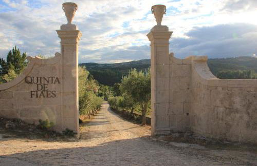 Quinta de Fiães - Foto 32