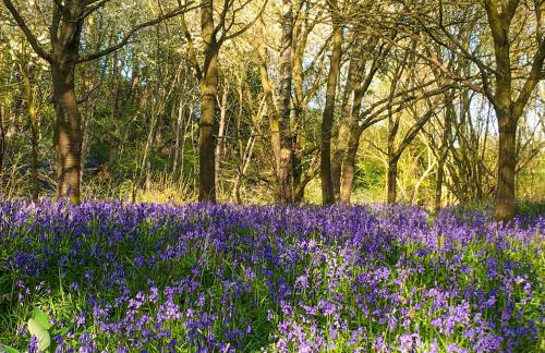 Leveret Lodge - Photo 21