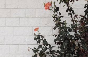 Holiday house - Anima - Foto 22