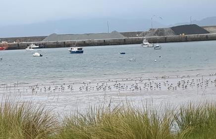 Apartamento La Ilusión - Cariño - Foto 28